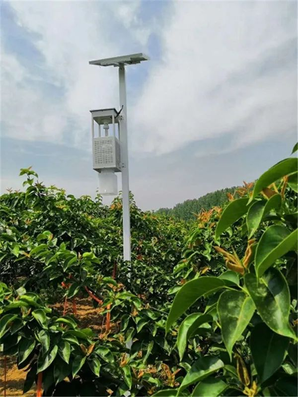 風吸式太陽能殺蟲燈